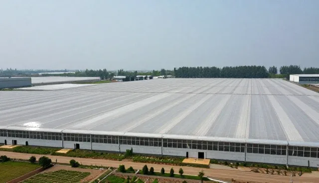 网站设计上海:招商合作中选型与维护建议