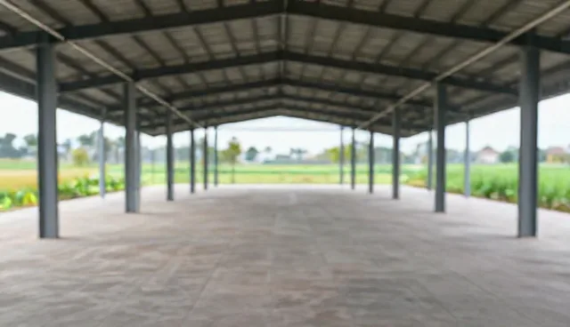 影视网站建设对比两种做法,明确实际取舍
