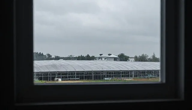 广州建站适用情况与限制分析