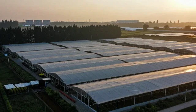 江门网站建设中的移动端优化问题及处理方向