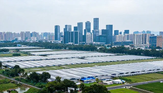 找公司做网站：性能优化的具体分析重点
