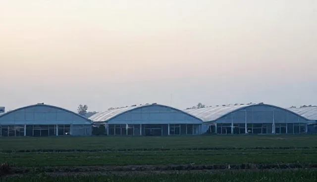 都江堰网站建设中网站优化的常见误区