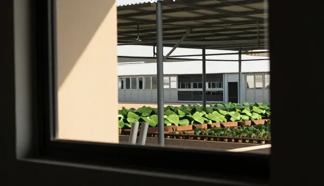 郴州网站优化对招商合作信息的影响原因