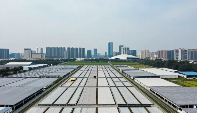 福田网站制作中供求信息发布服务的应用问题分析