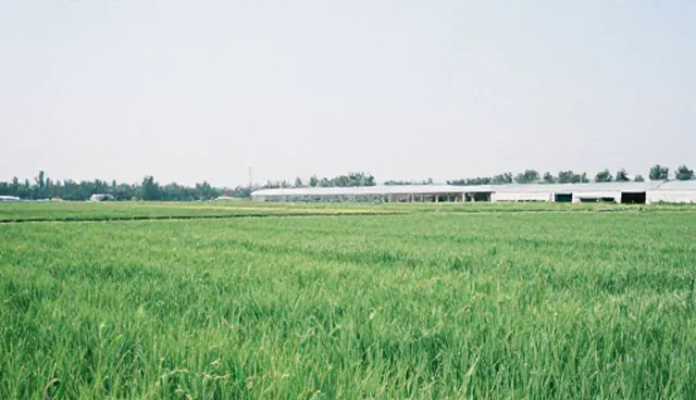 莱芜网站建设:线上政策解读支持分析