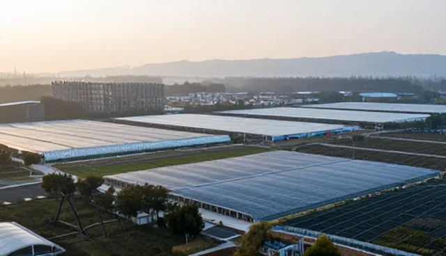 做网站网络公司如何影响招商合作信息展示效果