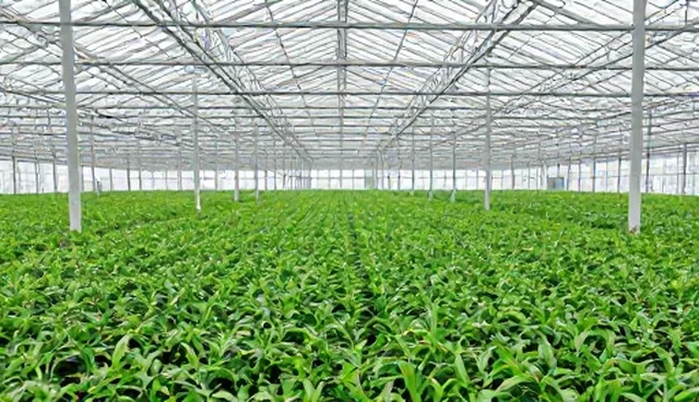 重庆网站建设公司如何通过检查要点提升网站设计质量