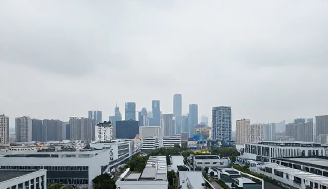 广州网页设计如何实现企业名录展示?