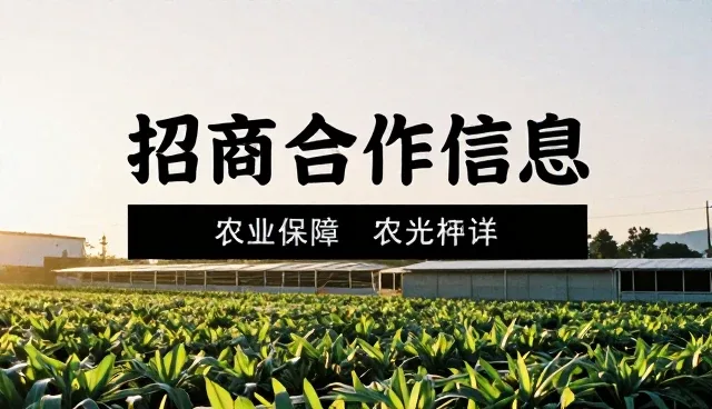 东莞企业网站设计中的内容质量关键环节