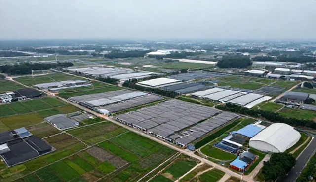 weebly网站搭建的常见误区与正确理解