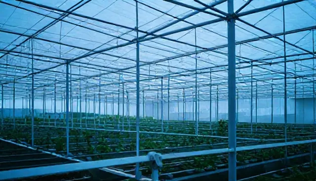 广告策划文案格式:如何提升供求信息发布效果